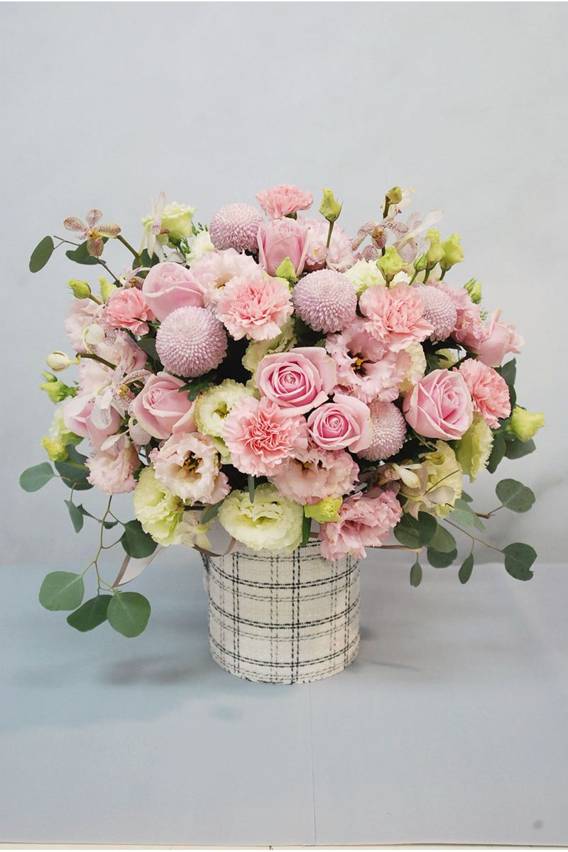 粉色系盆花Pink arrangements